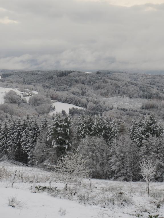Bed and Breakfast Les Grandes Fontaines La Longine Esterno foto